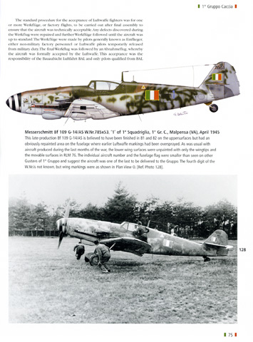 Camouflage and Markings of the Aeronautica Nazionale Republicana